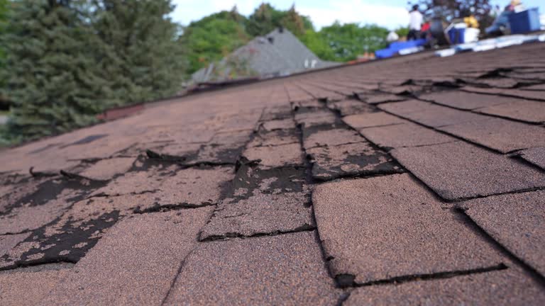 Best Asphalt Shingles Roofing  in Erie, PA