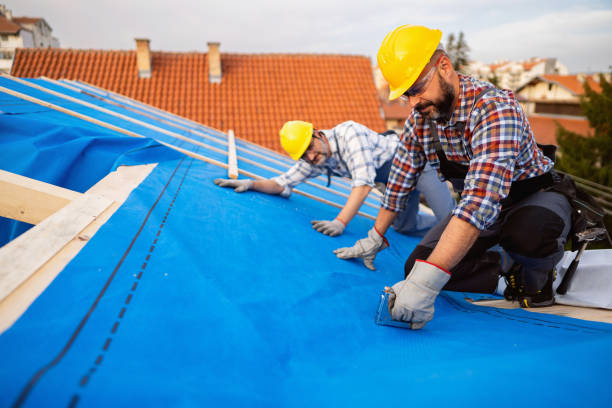 Best Rubber Roofing (EPDM, TPO)  in Erie, PA