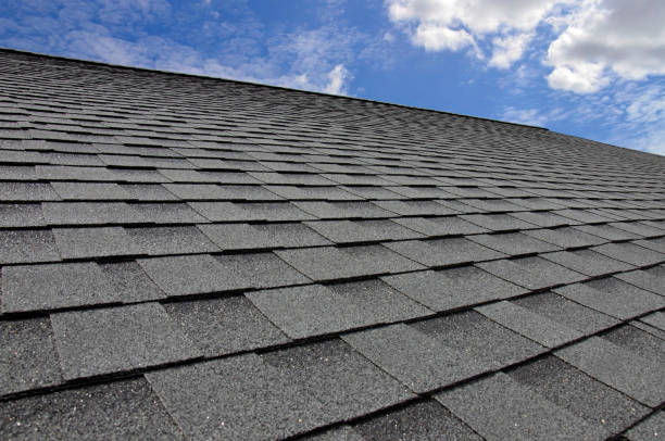 Professional Roofing Service in Erie, PA