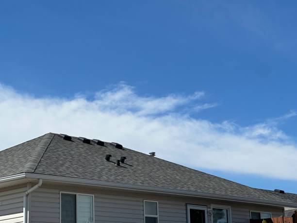 Best Roof Leak Repair  in Erie, PA